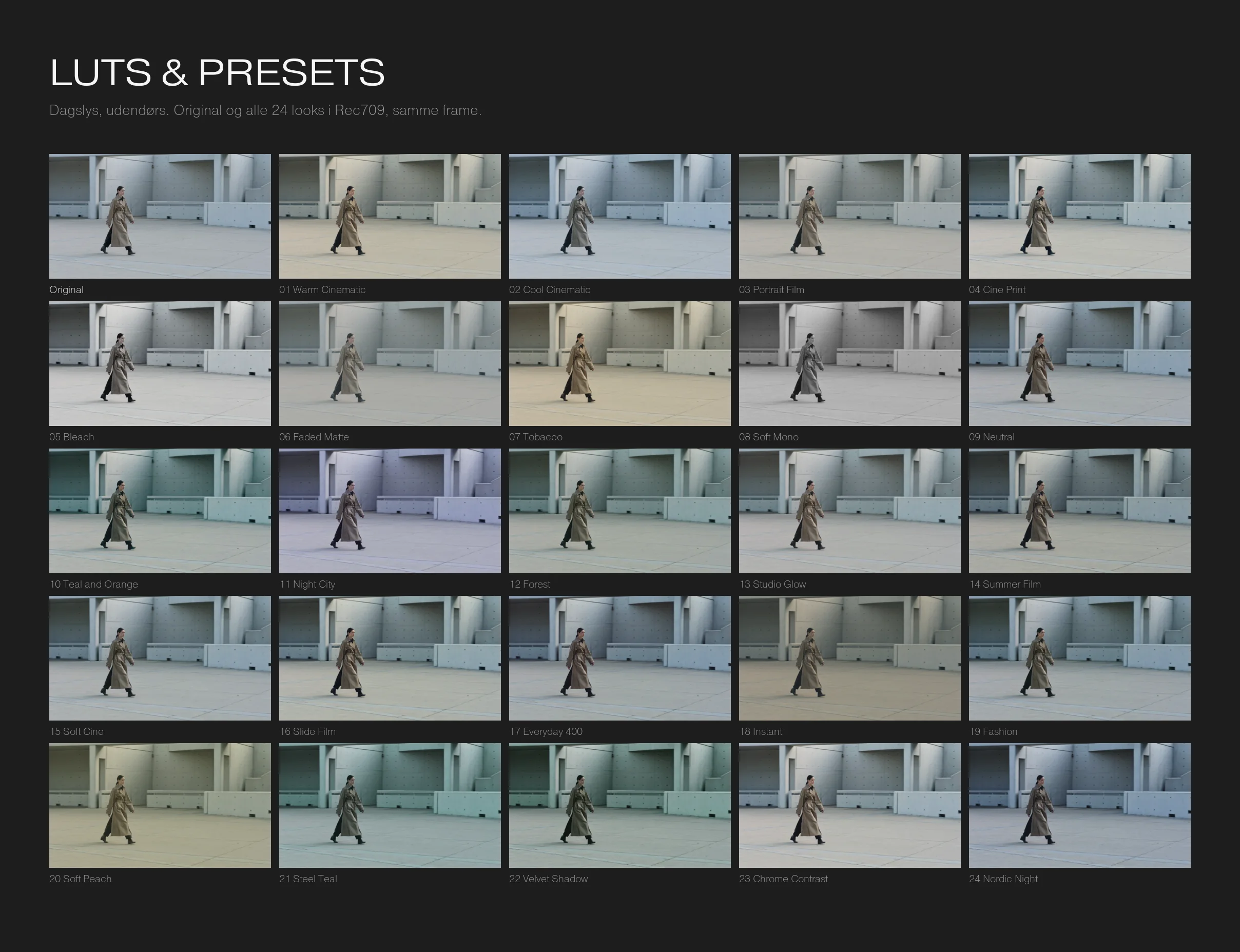 Nineties™ LUTs & Presets, alle 24 looks, dagslys, udendørs